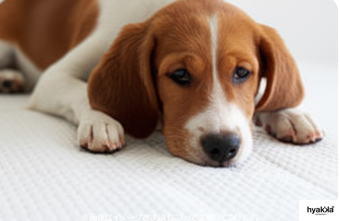 ペット用クールマット