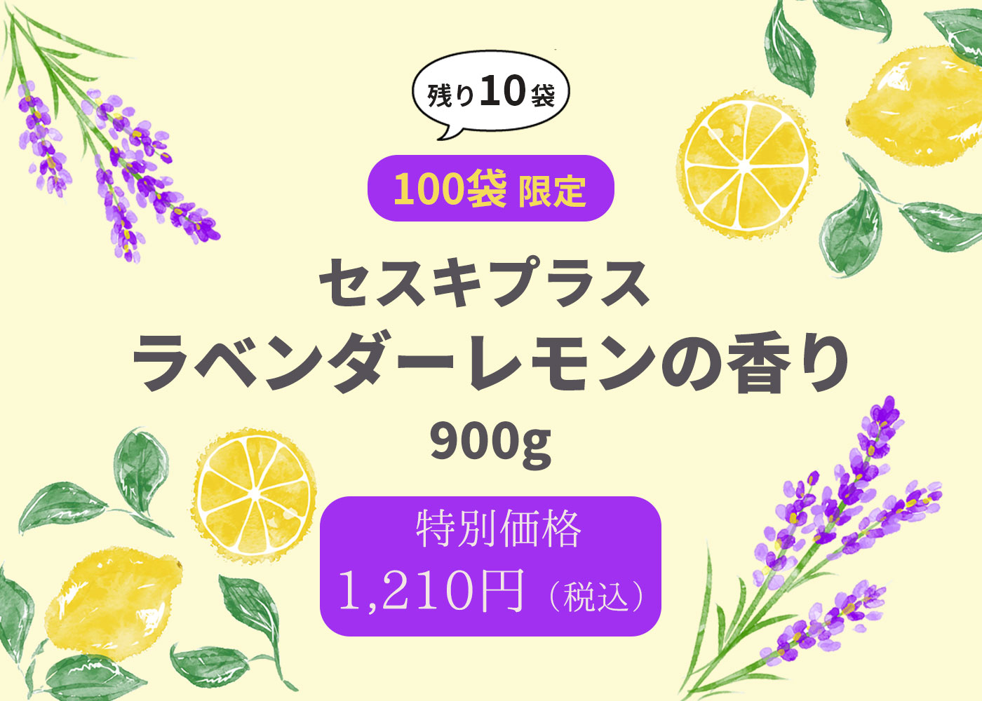 数量限定販売！